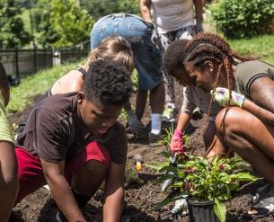 children and adults in the planting flowers in a front lawn